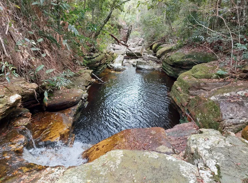 Captura de tela 2026-03-22 083238