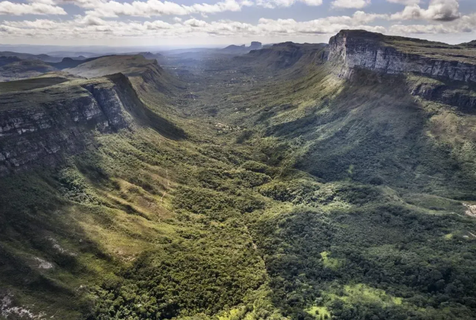 Captura de tela 2026-03-22 083244